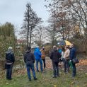 obr�zek fotogalerie